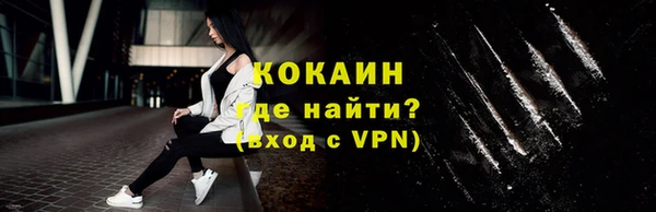 сатива Ачинск
