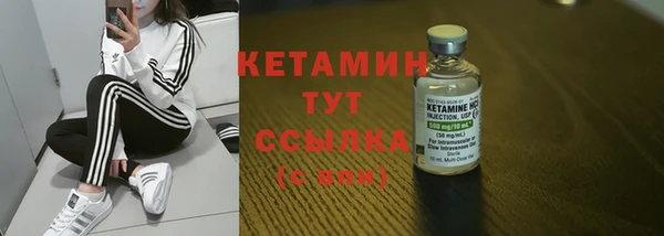 сатива Ачинск