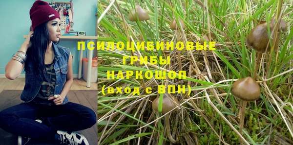 apvp Михайлов